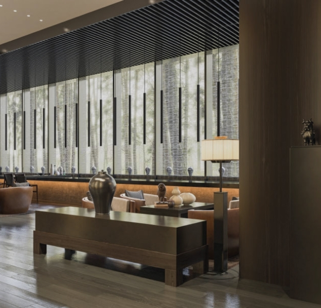 Baudenbacher Lawyers & Advisors