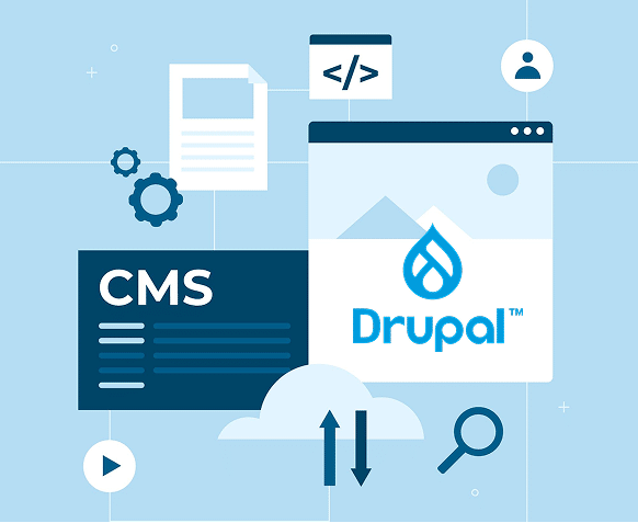 When we suggest to use Drupal CMS as a website platform