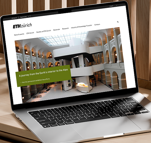 Website development